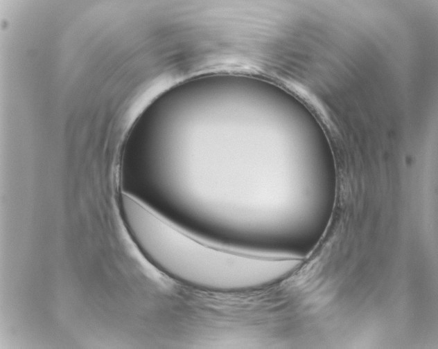 X0000089451383200706151025