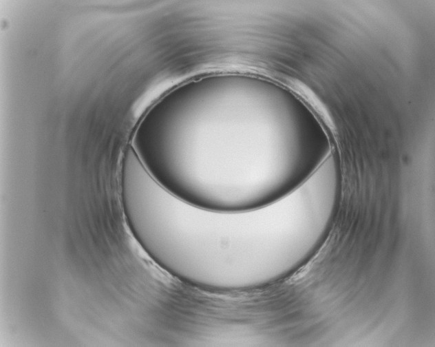 X0000089451388200706151025