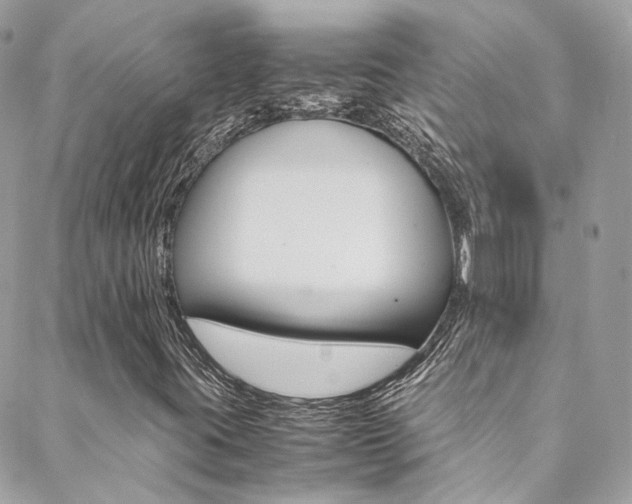 X0000089451395200706151024
