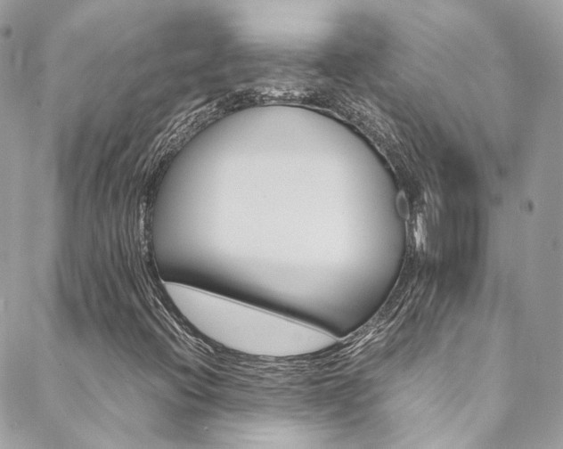X0000089451396200706151024