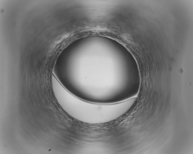 X0000089451398200706151024