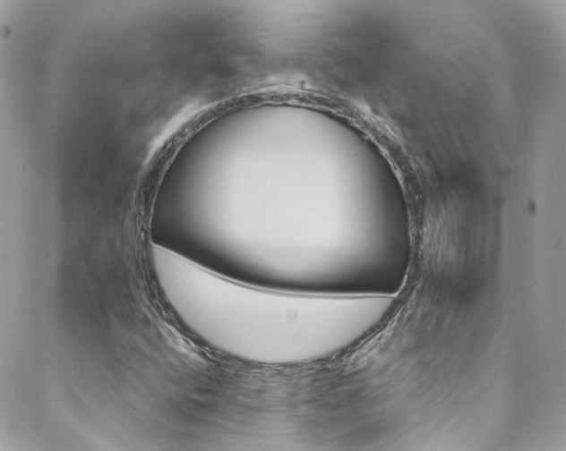 X0000089451400200706151024