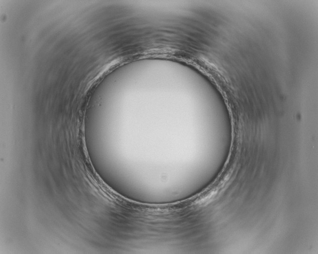 X0000089451401200706151025
