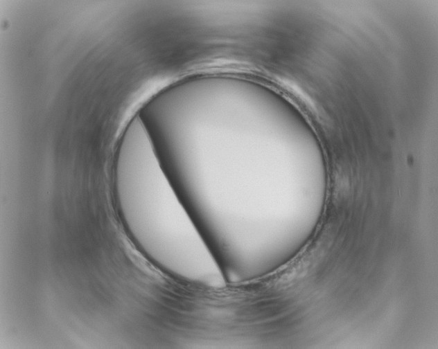 X0000089451413200706151025