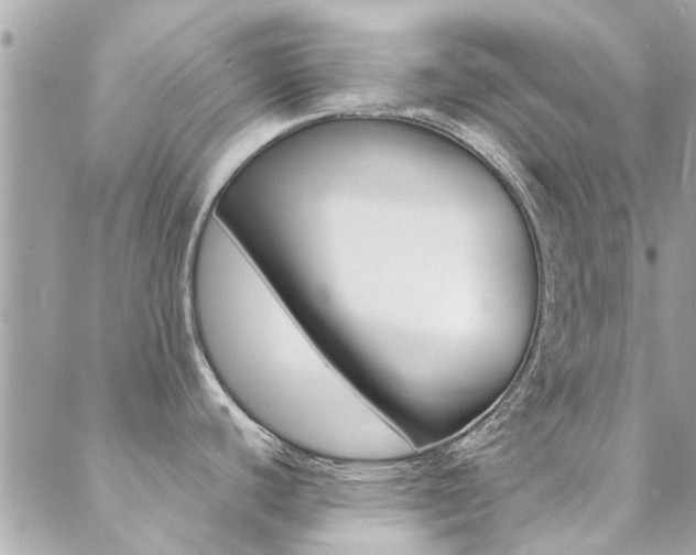 X0000089451440200706151025