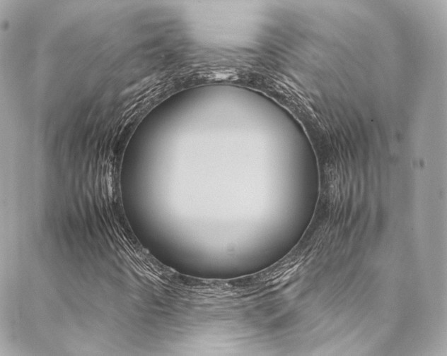 X0000089451442200706151024
