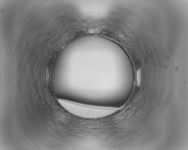 X0000089451443200706151024