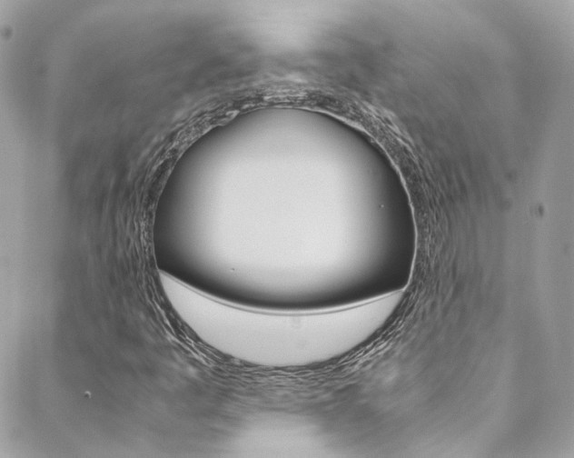 X0000089451445200706151024
