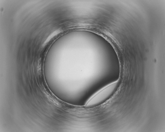 X0000089451450200706151024