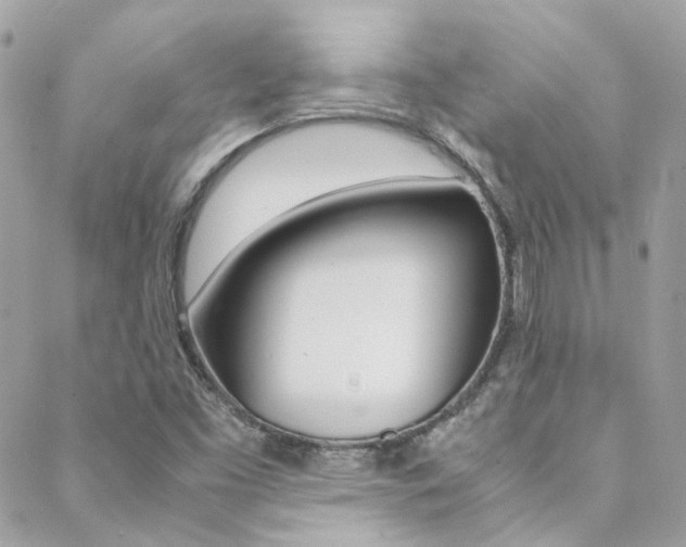 X0000089451453200706151024