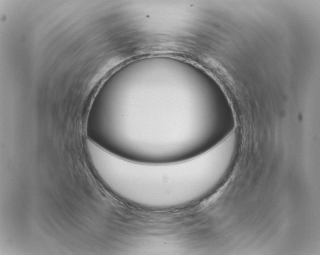 X0000089451457200706151024