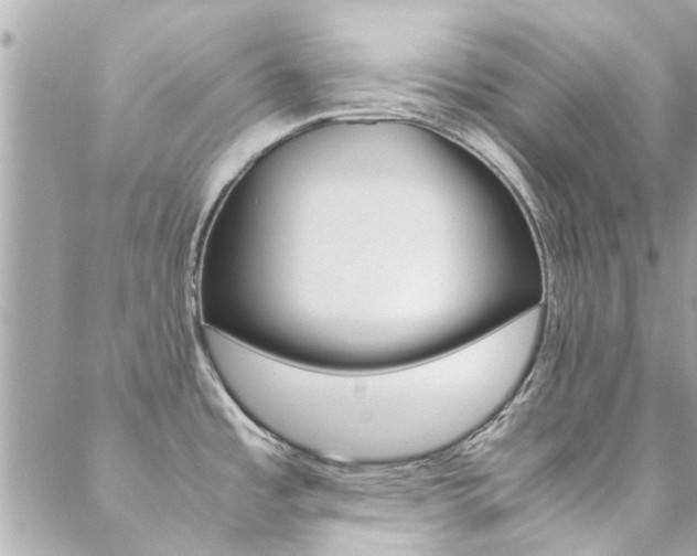 X0000089451485200706151024