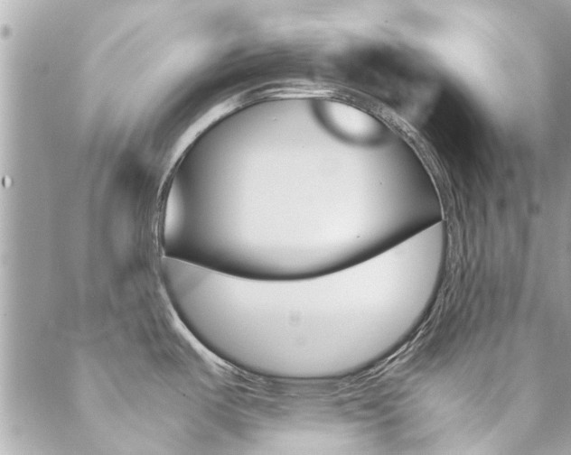 X0000089451487200706151024