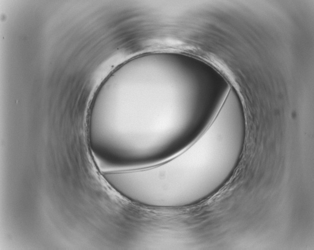 X0000089451488200706151024
