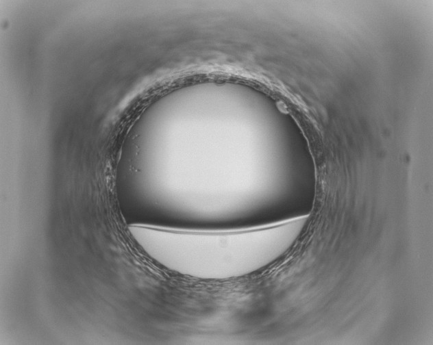 X0000089451495200706151023