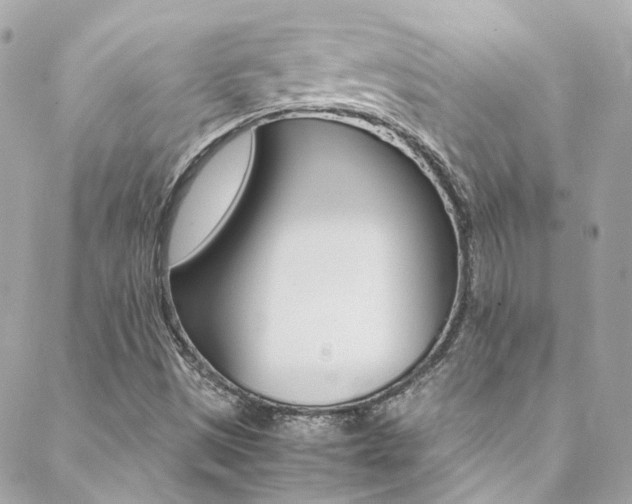 X0000089451497200706151023