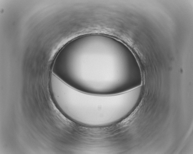 X0000089451500200706151023