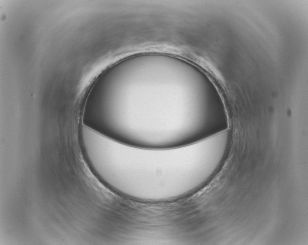 X0000089451504200706151023