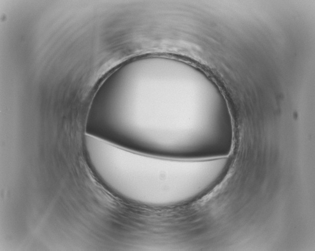 X0000089451505200706151023