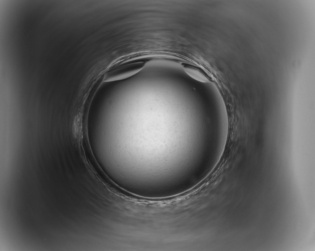 X0000089450002200706151440