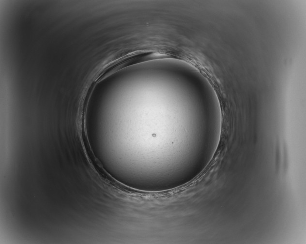 X0000089450003200706151440