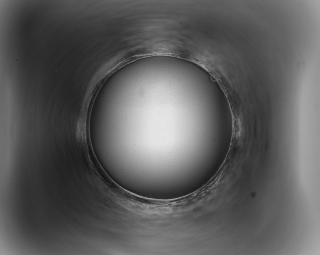 X0000089450004200706151440