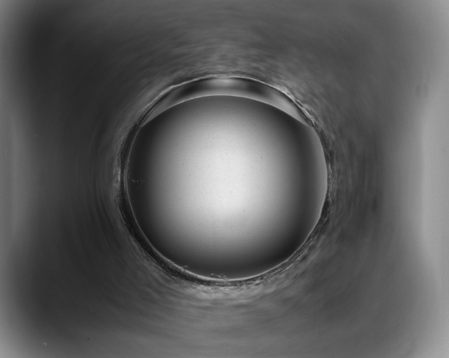X0000089450005200706151440