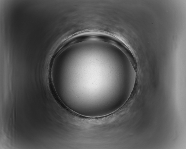 X0000089450007200706151440