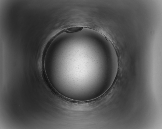 X0000089450008200706151440