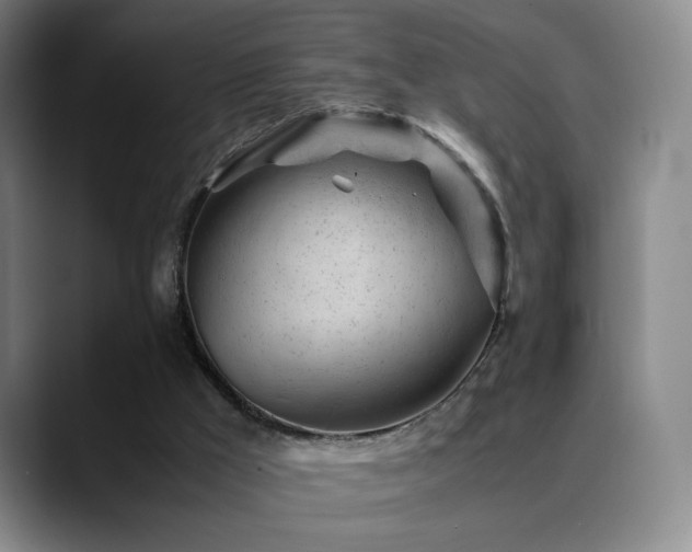 X0000089450009200706151440