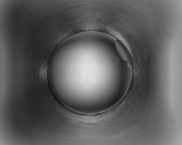 X0000089450010200706151440