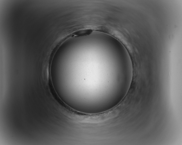 X0000089450011200706151440