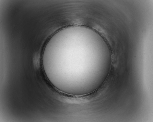 X0000089450012200706151440