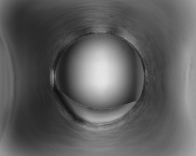 X0000089450013200706151440