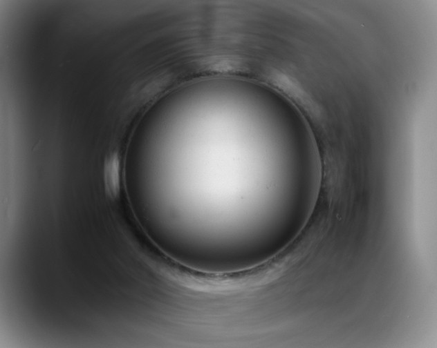 X0000089450014200706151440
