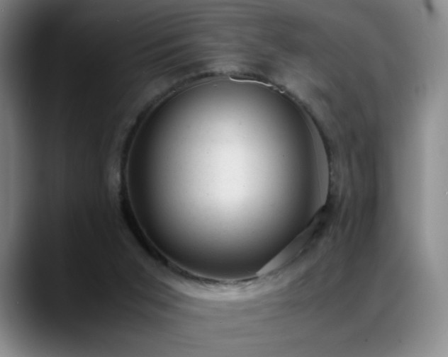 X0000089450015200706151440