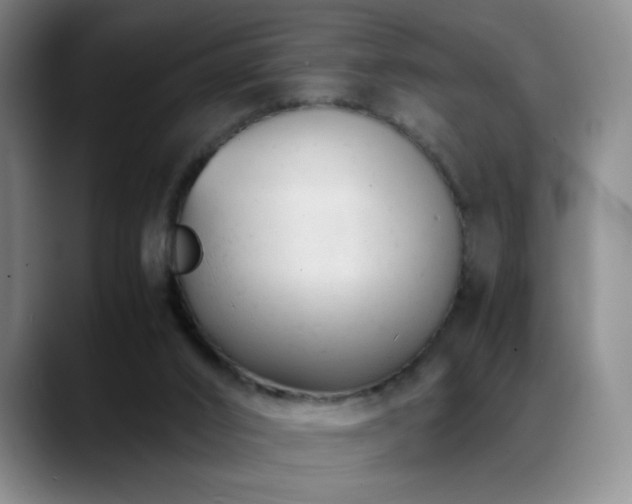 X0000089450016200706151440