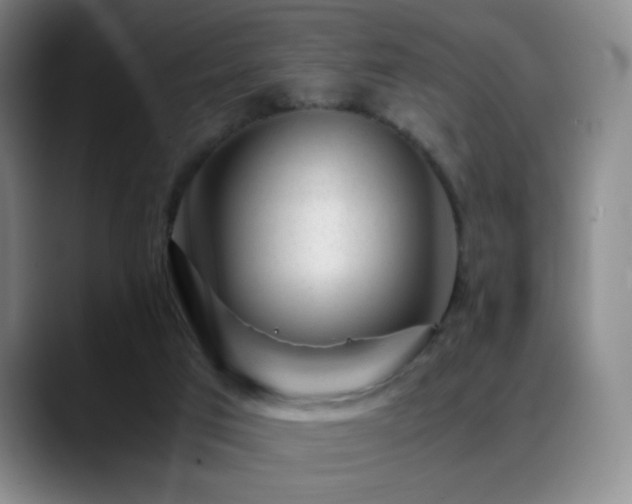X0000089450017200706151440