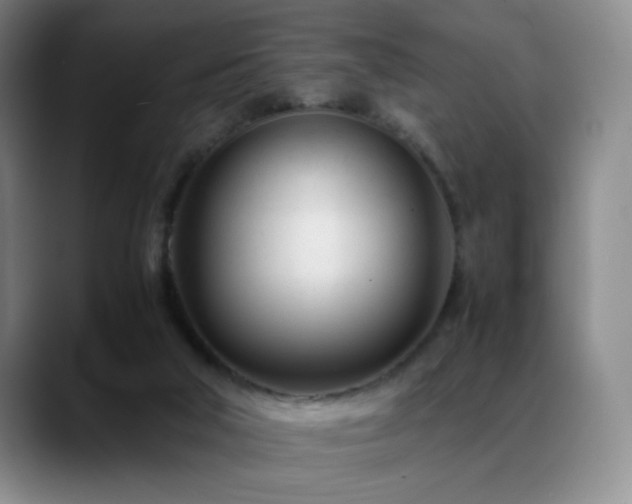 X0000089450018200706151440