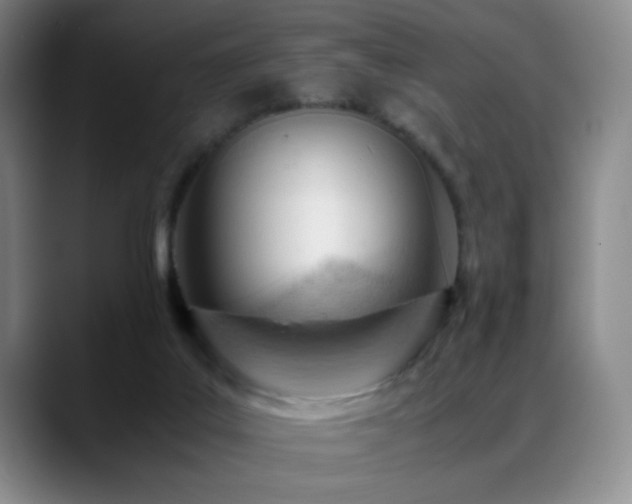 X0000089450019200706151440