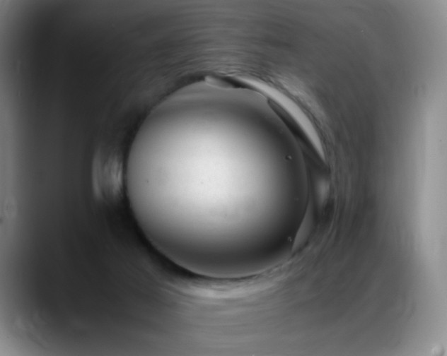 X0000089450021200706151440