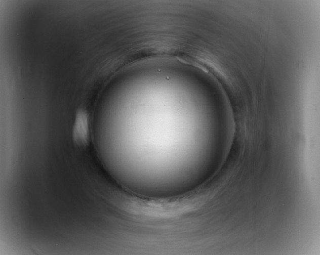 X0000089450022200706151440