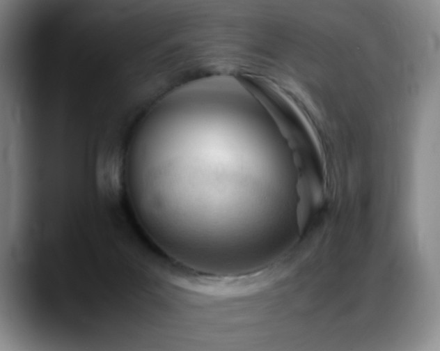 X0000089450023200706151440