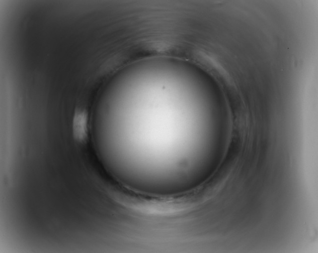 X0000089450024200706151440