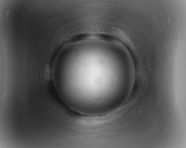 X0000089450025200706151440