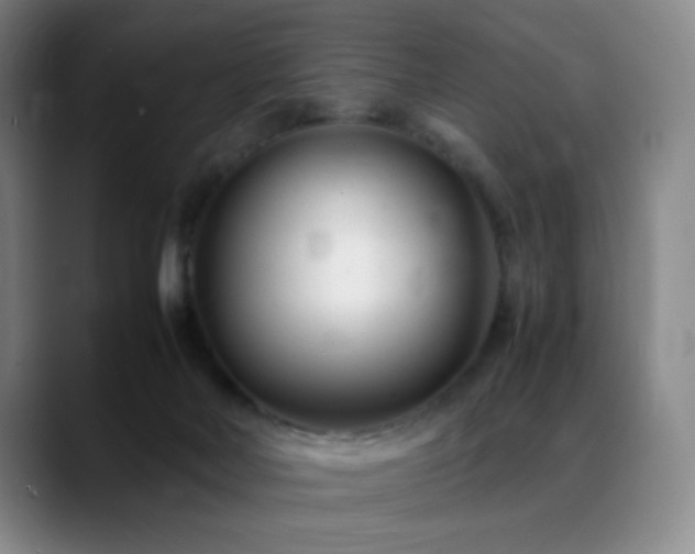 X0000089450026200706151440