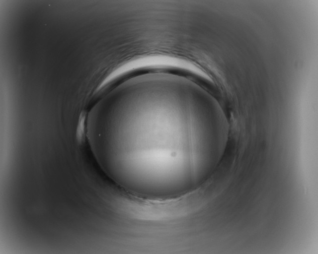 X0000089450027200706151440