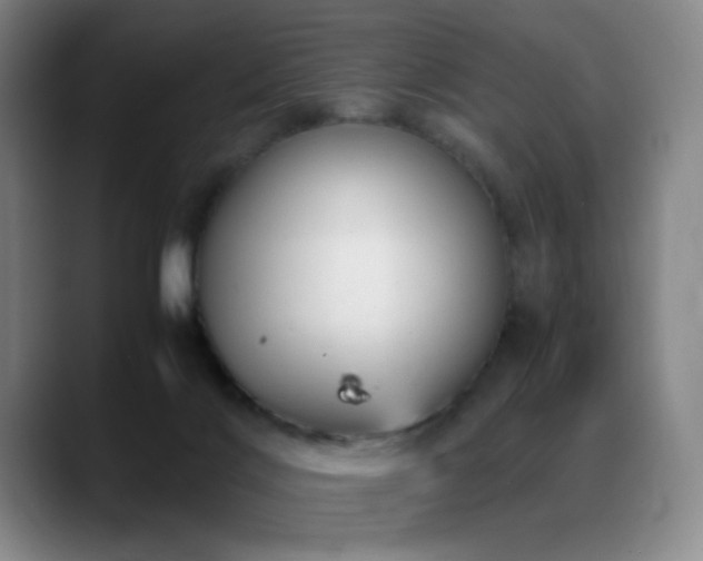 X0000089450028200706151440