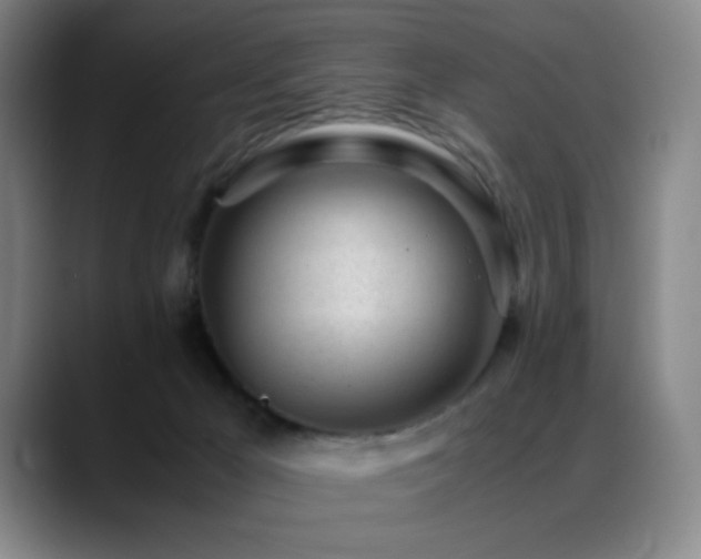 X0000089450029200706151440