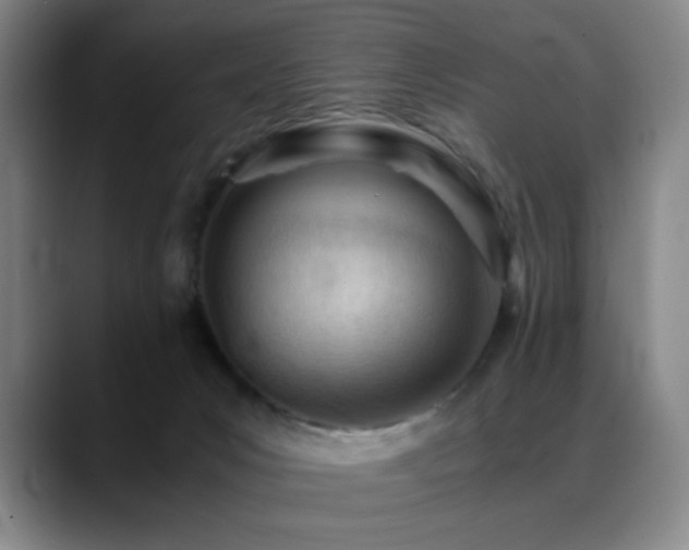 X0000089450031200706151440